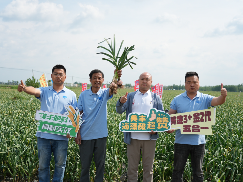 夏攻行动：英国伟德国际官网护航夏粮丰产丰收
