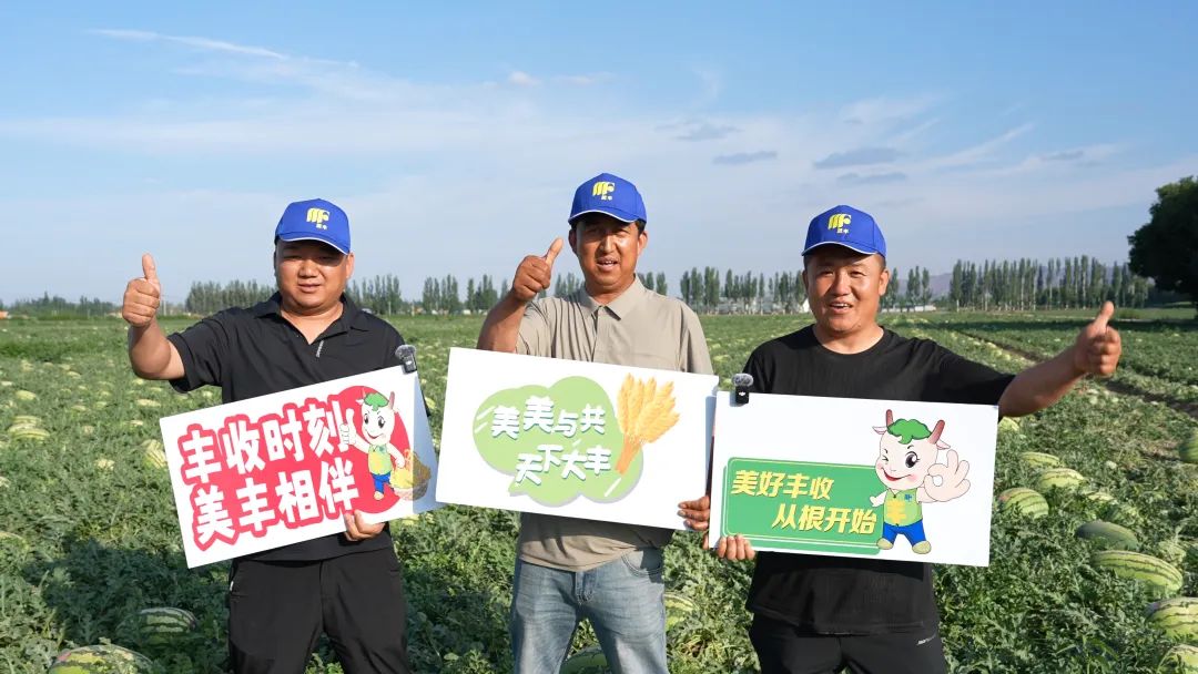 英国伟德国际官网肥助力硒砂瓜亩产过万斤